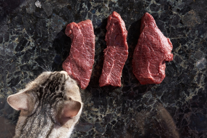 Mačka a mäso